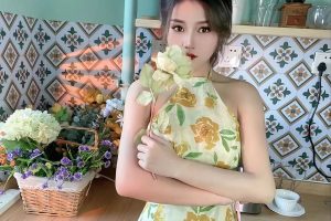 朝阳草房 家庭式   质量好 更新快 多次验证 安全靠谱