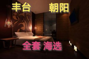 丰台朝阳莞式 水磨 大选场4.14  提